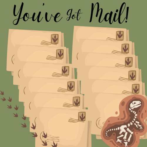12-Month Subscription